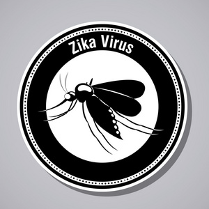 Zika 病毒设计