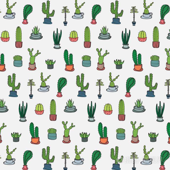 手绘热带仙人掌图案.手工制作的矢量插图
