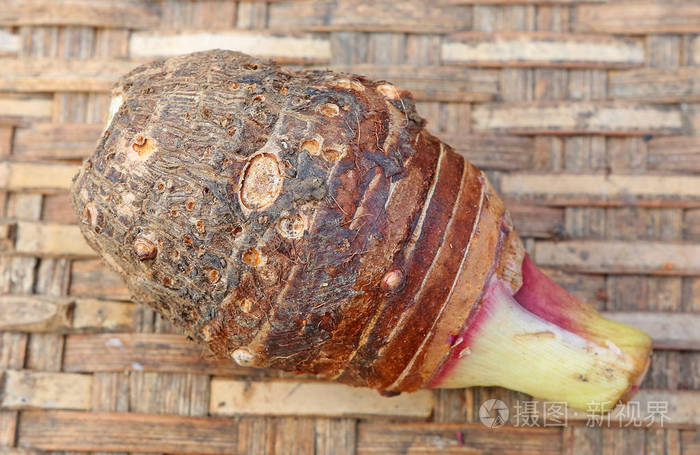 上竹芋根桩编织