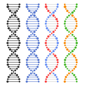 Dna 基因组分子设置。矢量