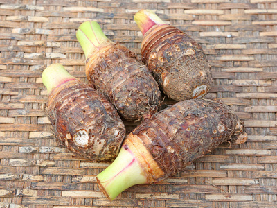 上竹芋根桩编织照片