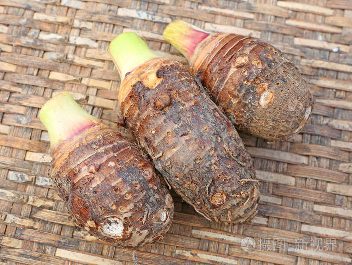 上竹芋根桩编织