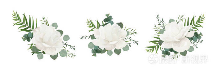 矢量花卉花束集花园白粉牡丹 玫瑰花 桉树枝绿叶叶和绿色草药混合 水彩典雅的设计师元素设计 隔离和可编辑插画 正版商用图片0eygbg 摄图新视界
