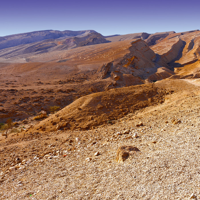 在以色列内盖夫沙漠