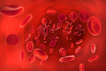 红 cloured 血细胞内血管循环三维图