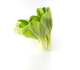 萝卜青菜上白色背景照片