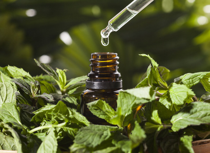 碗与水和薄荷在桌上香水瓶, 新鲜的薄荷和椰子基本的薄荷油用植物油