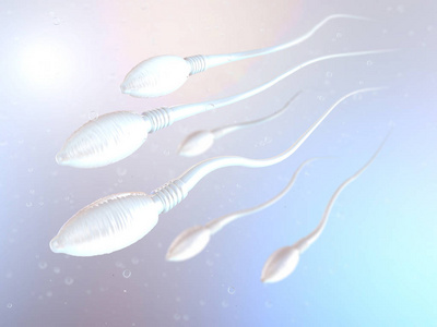 3d. 精子细胞向卵细胞向右移动的图示
