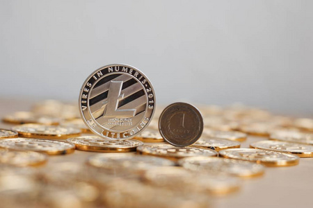 Litecoin 金概念