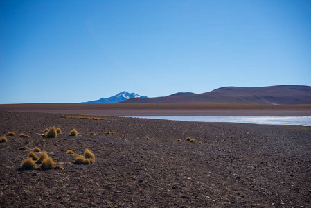 在安第斯山脉的冰冻盐湖, 前往著名的乌尤尼盐平坦的公路旅行, 前往玻利维亚的旅游胜地