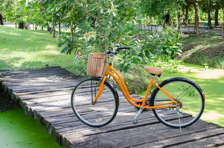 自行车在绿色公园图片