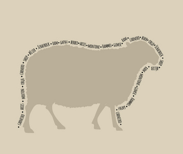 一只羊，在不同的局域网中命名的矢量图剪影