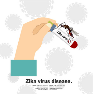 Zika 病毒的血液样本