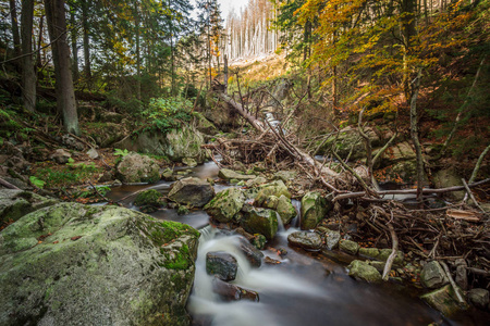 山溪与瀑布在一个秋天森林里。时间曝光