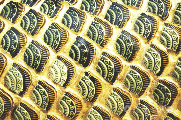 龙皮蛇皮爬行动物规模