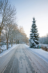 积雪的路上在农村从荷兰