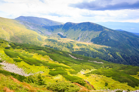 明亮的山坡上如画的风景