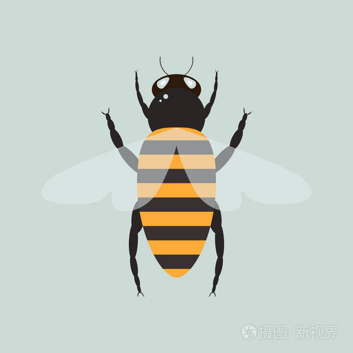 有翅膀的蜜蜂.简单矢量图示插画-正版商用图片0ezl30-摄图新视界