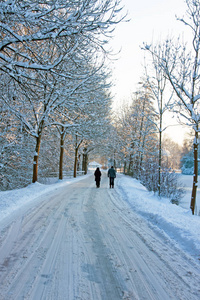 积雪的路上在农村从荷兰