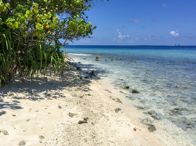 Rasdhoo 岛海滩，马尔代夫