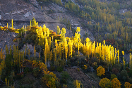 Karimabad 在日出，巴基斯坦的秋天