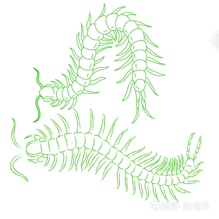手绘蜈蚣卡通,昆虫的图标.矢量插画-正版商用图片0ezu84-摄图新视界