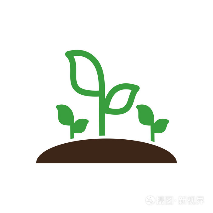 植物发芽矢量图标.花园