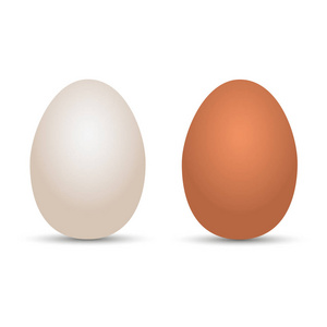 逼真的鸡白色和褐色的鸡蛋与阴影。矢量插图