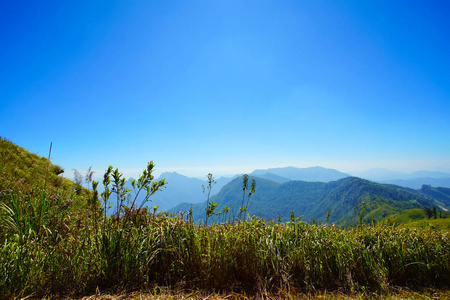 泰国清莱富慈花园景观