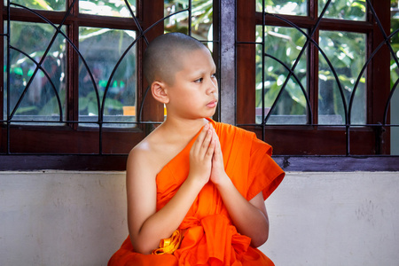 在泰国,小和尚的新手照片