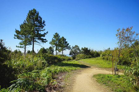 去富慈法的漫漫路途照片