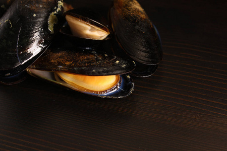 贻贝贝壳贻贝在黑色背景上的贝壳照片