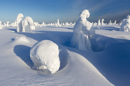 大雪和树