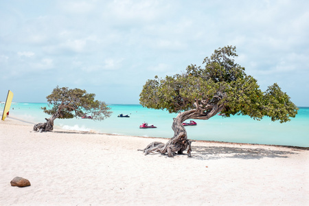 阿鲁巴岛在加勒比海上的鹰海滩