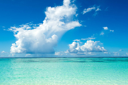美丽的风景的清除绿松石印度洋，马尔代夫群岛