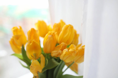 窗台上的花瓶里有一束黄色的郁金香。礼物 t