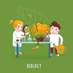 的自主拖拉机耕田串黑葡萄极客甘薯卡通人物毛猪-曼加利察卷发曼加