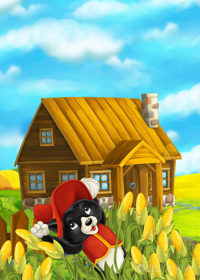 猫在玉米木房子附近