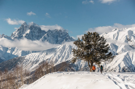 站在树旁的滑雪骑手的美景