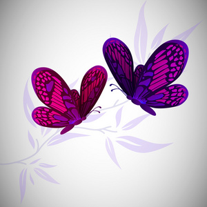 两只飞舞的蝴蝶. 矢量插图照片