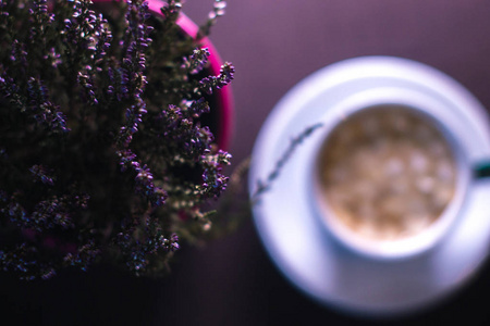 一杯咖啡, 在一个有模糊背景的花盆里的植物附近