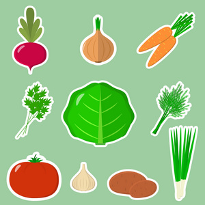 一组新鲜蔬菜在绿色背景下的白色笔触