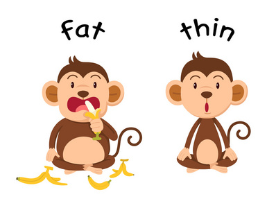 的推和拉的插图反义词关闭和打开矢量相反词语重型和轻型矢量在短小和