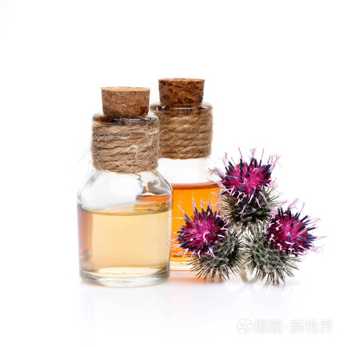 花牛蒡和牛蒡油照片 正版商用图片0f12d9 摄图新视界 花牛蒡和牛蒡油照片 正版商用图片0f12d9 摄图新视界