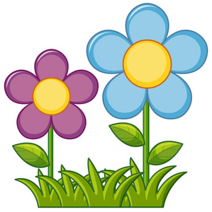 紫色和蓝色的花朵在花园里照片