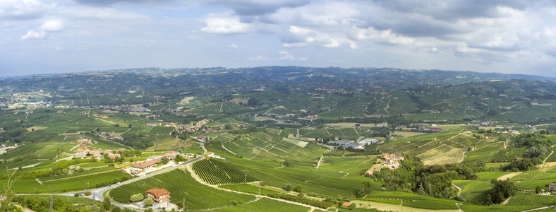 朗格，巴罗洛葡萄酒的葡萄园夏季全景。彩色图像