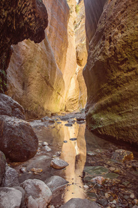 在塞浦路斯的 Avakas 峡谷令人惊叹的自然景观。国家阳光公园, 有悬崖山脉岩石和树木