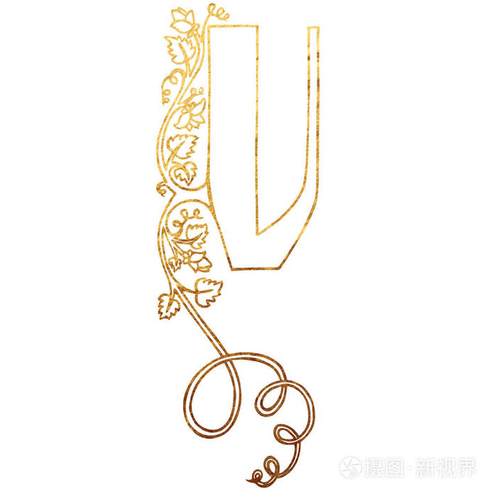 花首字母缩写 黄金质地照片 正版商用图片0f1b4g 摄图新视界