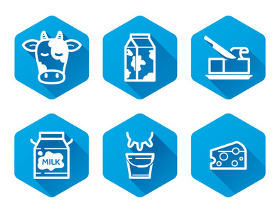 乳制品的图标几块被隔绝在白色背景上的奶酪牛奶产品集金圆水稻有机