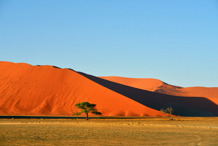 Sossusvlei，纳米布诺克国家公园纳米比亚